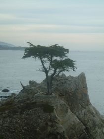 DSCF0066.JPG
